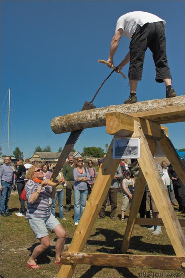 Palgi saagimine ja tõrva põletamine Sõru Puulaevade peol 23.06.2010. Foto Triin Jermakov